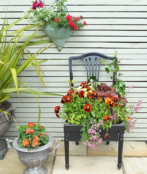 Yellowish tool Discriminatory Transforma scaunele vechi in jardiniere si suporturi pentru flori -